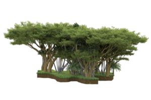 realistico foresta isolato su trasparente sfondo. 3d interpretazione - illustrazione png