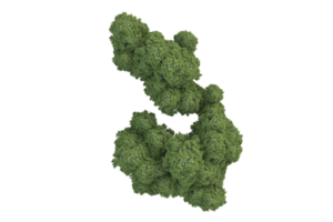 realistico foresta isolato su trasparente sfondo. 3d interpretazione - illustrazione png