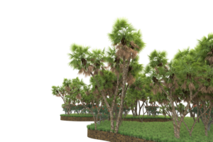 Realistic forest isolated on transparent background. 3d rendering - illustration png