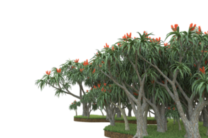 floresta realista isolada em fundo transparente. renderização 3D - ilustração png