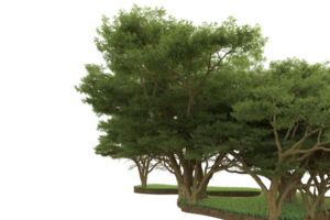 Realistic forest isolated on transparent background. 3d rendering - illustration png