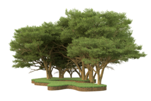 Realistic forest isolated on transparent background. 3d rendering - illustration png