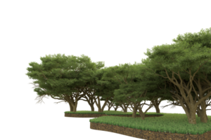 Realistic forest isolated on transparent background. 3d rendering - illustration png