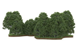 Realistic forest isolated on transparent background. 3d rendering - illustration png