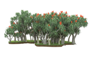 forêt réaliste isolée sur fond transparent. rendu 3d - illustration png