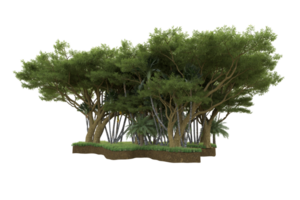 Realistic forest isolated on transparent background. 3d rendering - illustration png