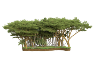 forêt réaliste isolée sur fond transparent. rendu 3d - illustration png