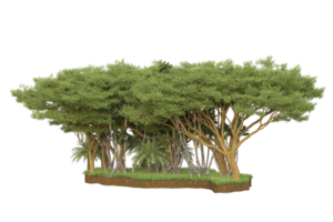 forêt réaliste isolée sur fond transparent. rendu 3d - illustration png