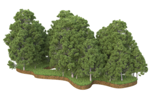 floresta realista isolada em fundo transparente. renderização 3D - ilustração png