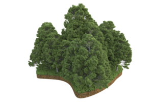 forêt réaliste isolée sur fond transparent. rendu 3d - illustration png