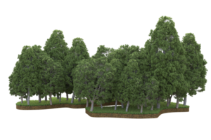 Realistic forest isolated on transparent background. 3d rendering - illustration png