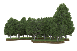 Realistic forest isolated on transparent background. 3d rendering - illustration png