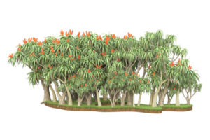 forêt réaliste isolée sur fond transparent. rendu 3d - illustration png