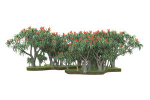 forêt réaliste isolée sur fond transparent. rendu 3d - illustration png