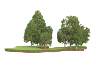 Realistic forest isolated on transparent background. 3d rendering - illustration png