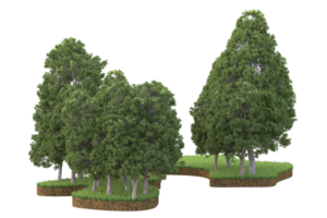 Realistic forest isolated on transparent background. 3d rendering - illustration png