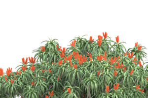 Realistic forest isolated on transparent background. 3d rendering - illustration png