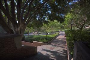 Sunlit Walkway on College Campus photo