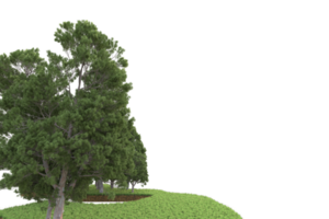 Realistic forest isolated on transparent background. 3d rendering - illustration png