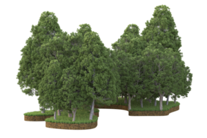 Realistic forest isolated on transparent background. 3d rendering - illustration png