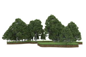 Realistic forest isolated on transparent background. 3d rendering - illustration png