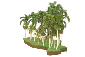 Realistic forest isolated on transparent background. 3d rendering - illustration png