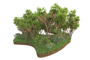 Realistic forest isolated on transparent background. 3d rendering - illustration png