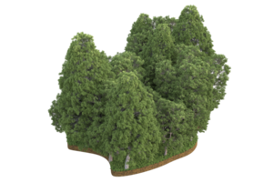 Realistic forest isolated on transparent background. 3d rendering - illustration png