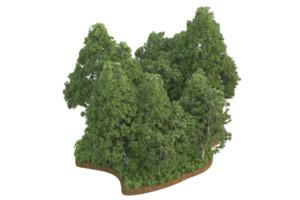 Realistic forest isolated on transparent background. 3d rendering - illustration png