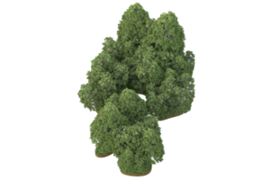 Realistic forest isolated on transparent background. 3d rendering - illustration png