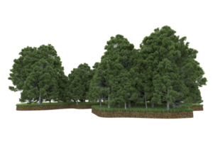 Realistic forest isolated on transparent background. 3d rendering - illustration png