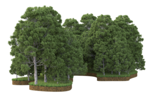 Realistic forest isolated on transparent background. 3d rendering - illustration png