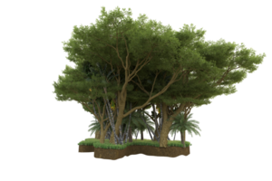 forêt réaliste isolée sur fond transparent. rendu 3d - illustration png