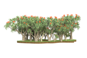 floresta realista isolada em fundo transparente. renderização 3D - ilustração png