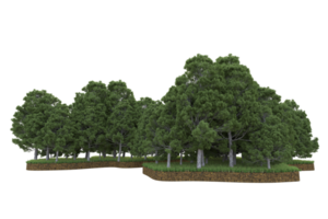 Realistic forest isolated on transparent background. 3d rendering - illustration png