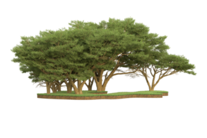 Realistic forest isolated on transparent background. 3d rendering - illustration png