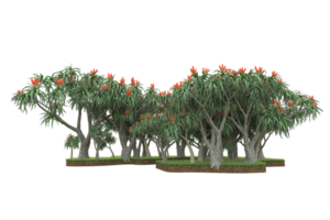 forêt réaliste isolée sur fond transparent. rendu 3d - illustration png