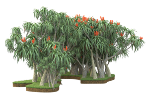 floresta realista isolada em fundo transparente. renderização 3D - ilustração png