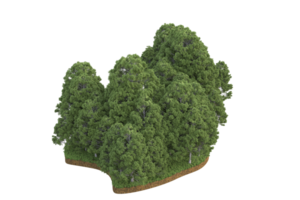 Realistic forest isolated on transparent background. 3d rendering - illustration png