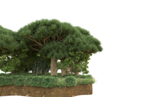 forêt réaliste isolée sur fond transparent. rendu 3d - illustration png