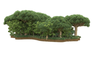 realistico foresta isolato su trasparente sfondo. 3d interpretazione - illustrazione png