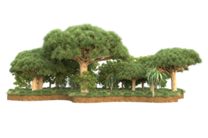 Realistic forest isolated on transparent background. 3d rendering - illustration png