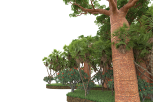 realistico foresta isolato su trasparente sfondo. 3d interpretazione - illustrazione png