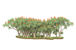 Realistic forest isolated on transparent background. 3d rendering - illustration png