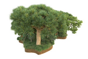 Realistic forest isolated on transparent background. 3d rendering - illustration png