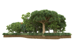 realistico foresta isolato su trasparente sfondo. 3d interpretazione - illustrazione png