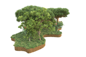 Realistic forest isolated on transparent background. 3d rendering - illustration png