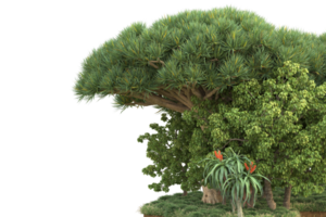 Realistic forest isolated on transparent background. 3d rendering - illustration png