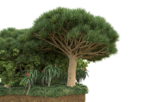 forêt réaliste isolée sur fond transparent. rendu 3d - illustration png