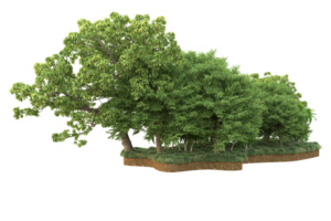 Realistic forest isolated on transparent background. 3d rendering - illustration png